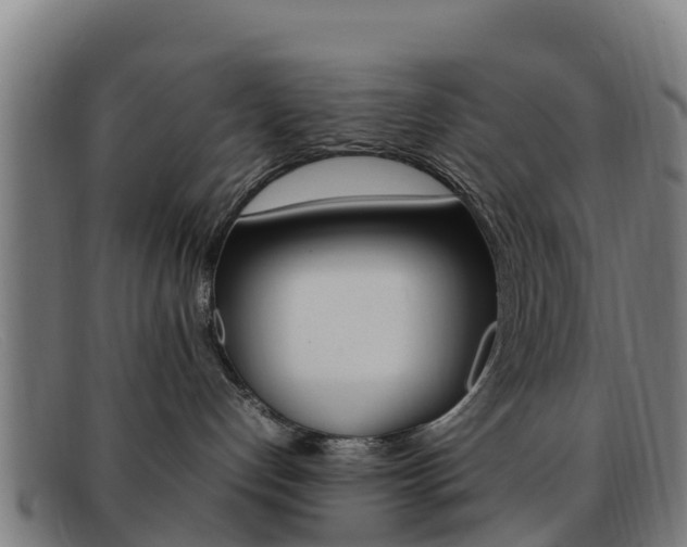 X0000092070192200709121033