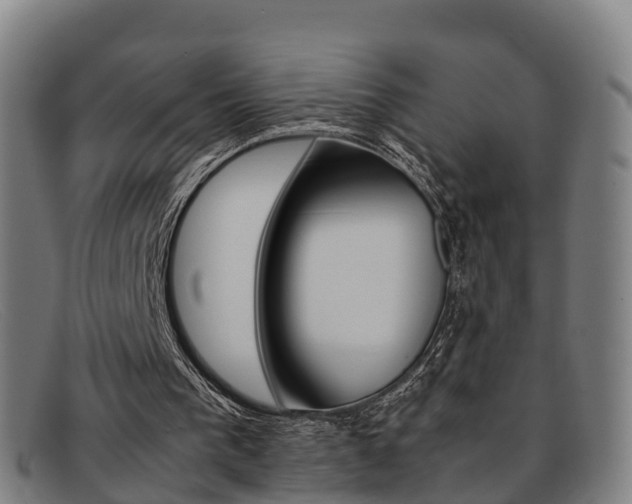 X0000092070193200709121032