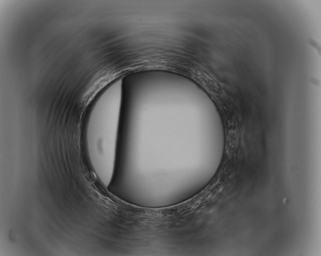 X0000092070194200709121032