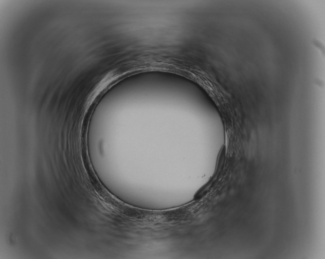 X0000092070195200709121032