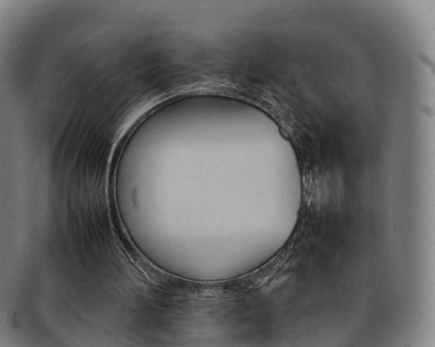 X0000092070196200709121032