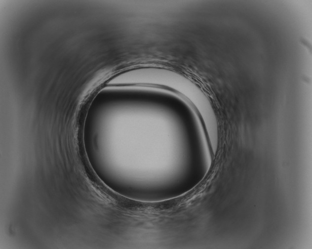 X0000092070197200709121032
