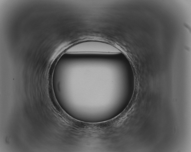 X0000092070199200709121032