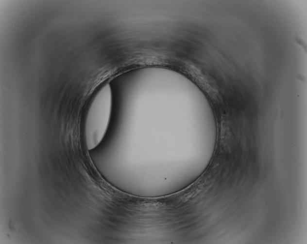 X0000092070202200709121032