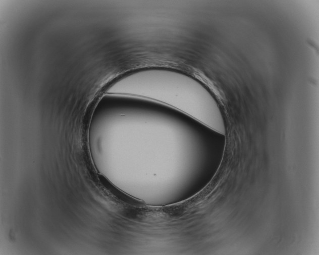 X0000092070203200709121032