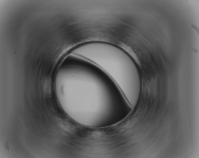 X0000092070204200709121032