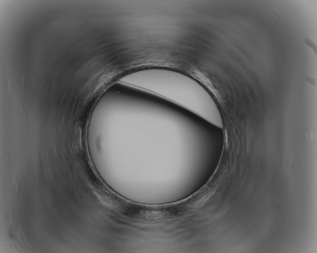 X0000092070205200709121032