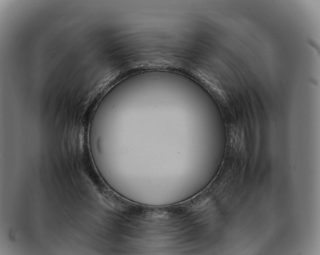 X0000092070206200709121032