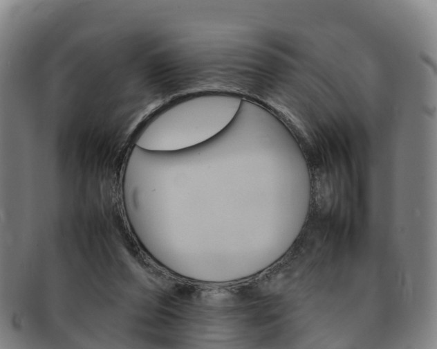 X0000092070208200709121032