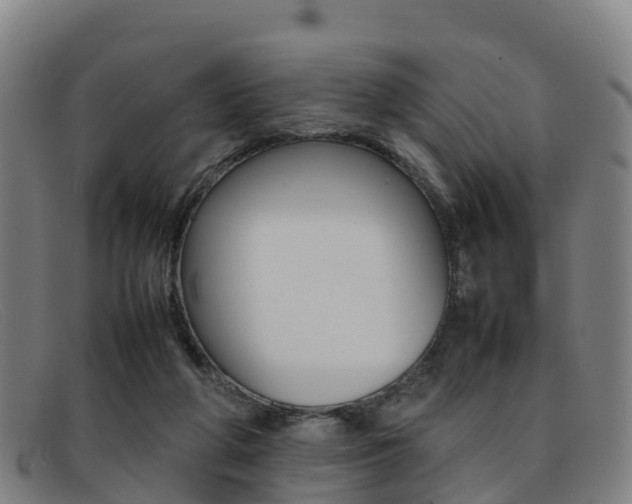 X0000092070210200709121032