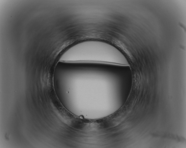 X0000092070212200709121032