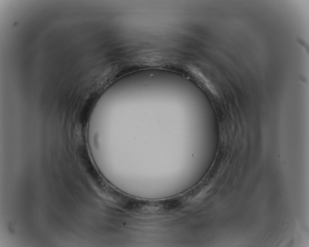 X0000092070213200709121032