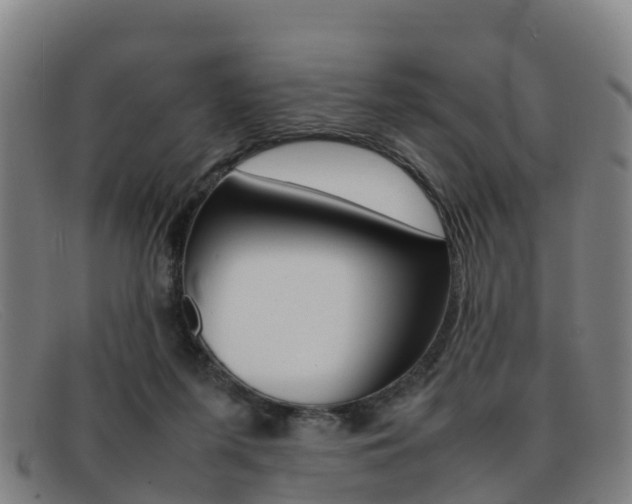 X0000092070215200709121032