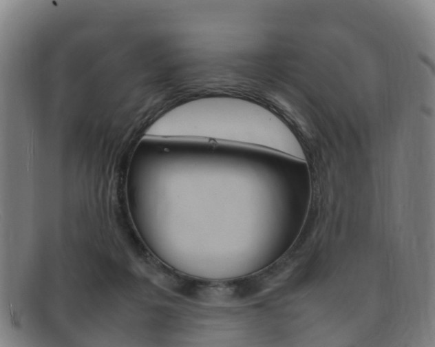 X0000092070217200709121032
