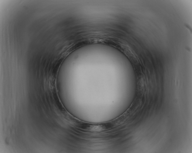 X0000092070218200709121032