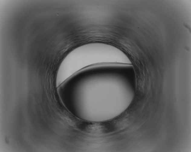 X0000092070219200709121032