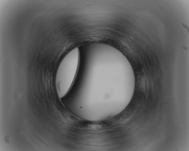 X0000092070220200709121032