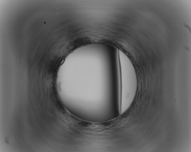 X0000092070221200709121032