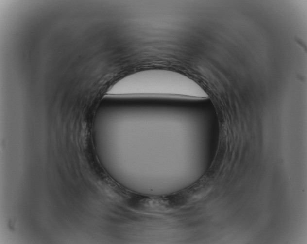 X0000092070223200709121032