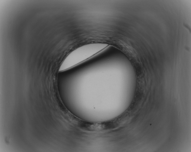 X0000092070225200709121032