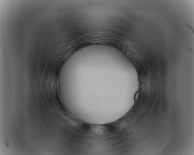 X0000092070226200709121032