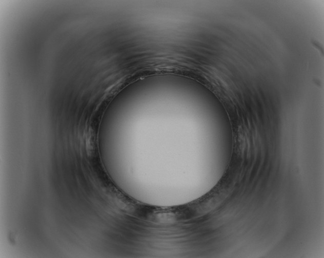 X0000092070228200709121032
