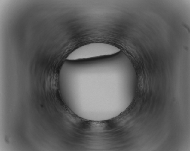 X0000092070234200709121032