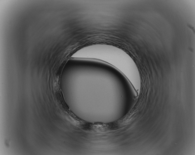 X0000092070239200709121032