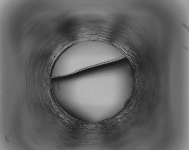 X0000092070241200709121031