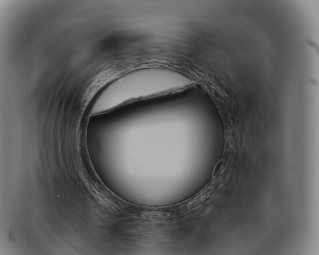 X0000092070242200709121031