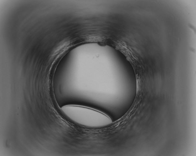 X0000092070243200709121031
