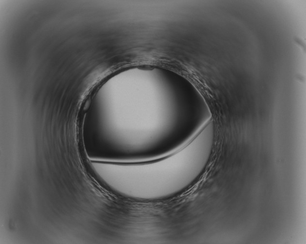 X0000092070244200709121031