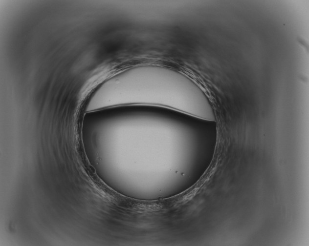 X0000092070245200709121031