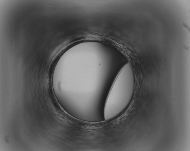 X0000092070247200709121031