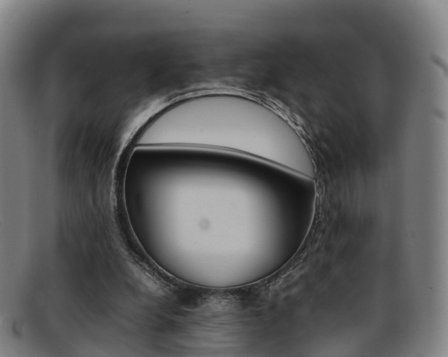 X0000092070248200709121031