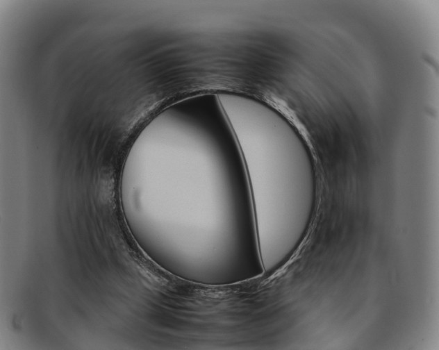 X0000092070249200709121031