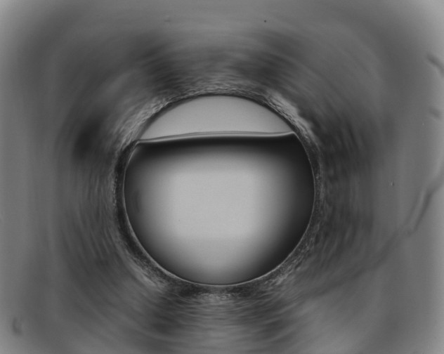 X0000092070250200709121031