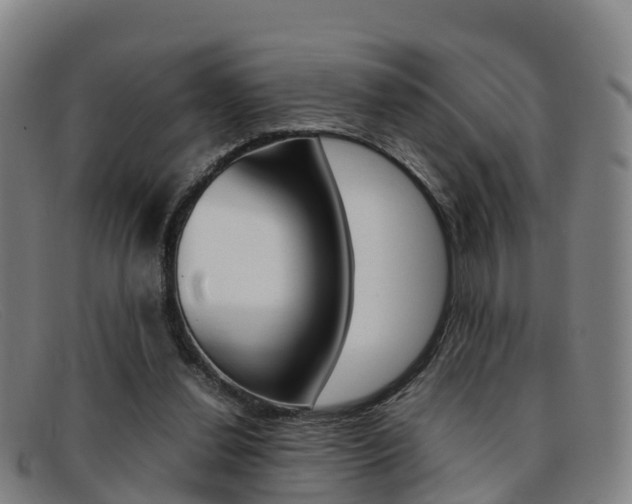 X0000092070252200709121031