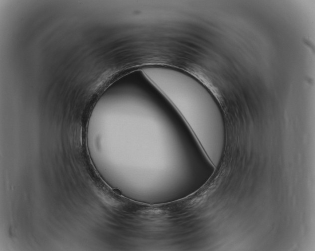 X0000092070253200709121031
