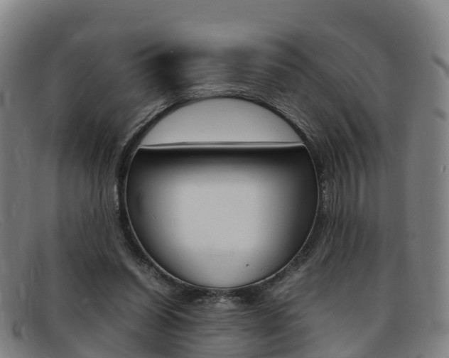 X0000092070254200709121031