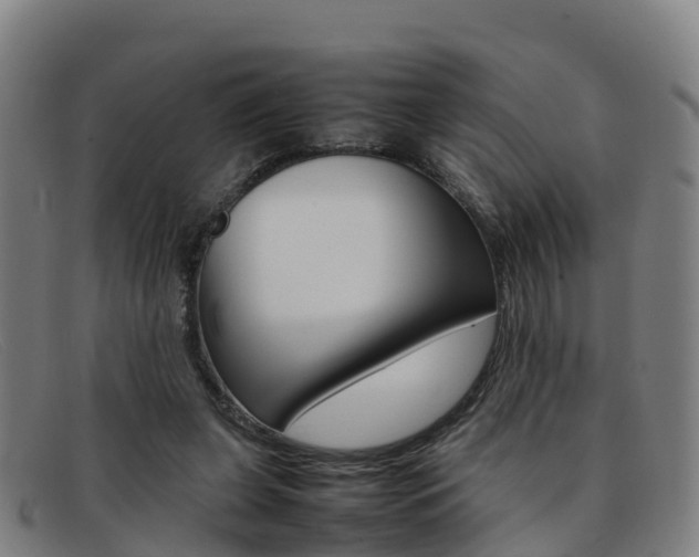 X0000092070255200709121031