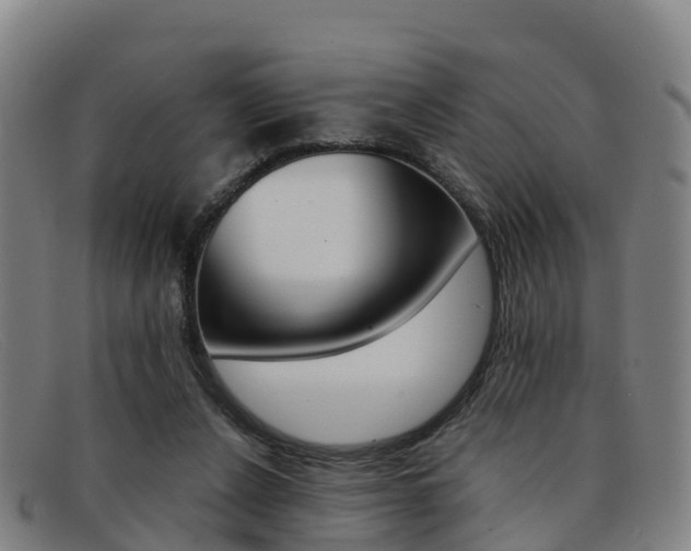 X0000092070256200709121031