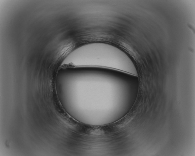 X0000092070258200709121031