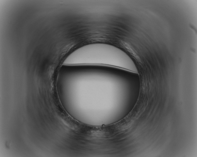 X0000092070259200709121031