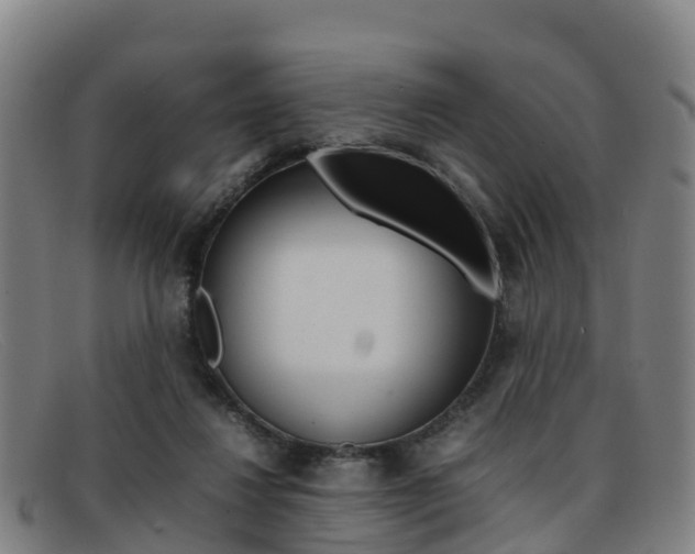 X0000092070260200709121031