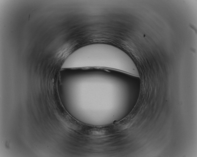 X0000092070263200709121031