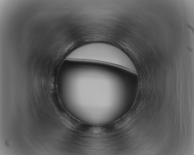 X0000092070264200709121031