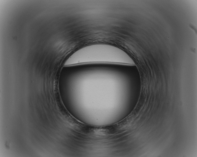 X0000092070268200709121031