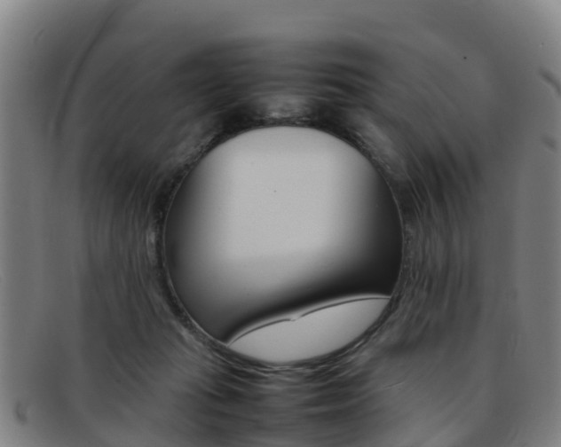 X0000092070269200709121031