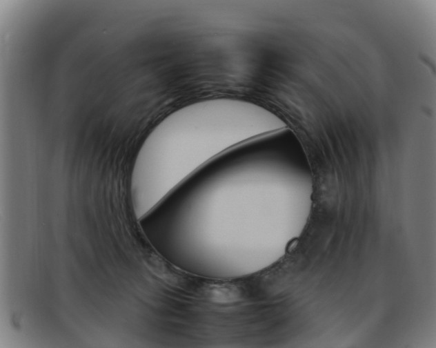 X0000092070275200709121031